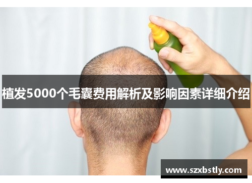 植发5000个毛囊费用解析及影响因素详细介绍