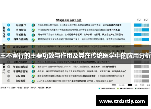 王不留行的主要功效与作用及其在传统医学中的应用分析