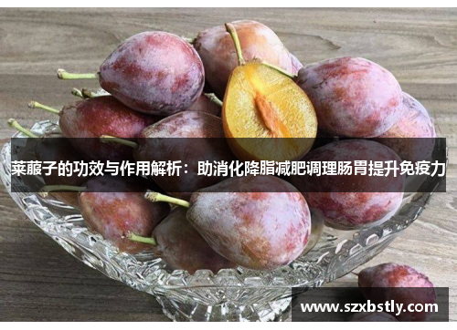 莱菔子的功效与作用解析：助消化降脂减肥调理肠胃提升免疫力