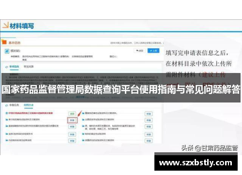 国家药品监督管理局数据查询平台使用指南与常见问题解答