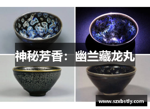 神秘芳香：幽兰藏龙丸